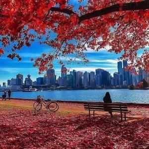 Meet your Posher, Youness